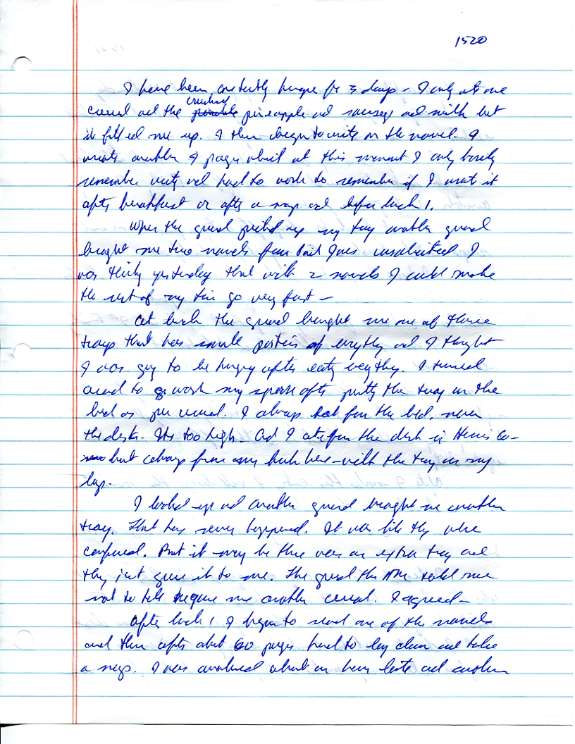 Dr John WorldPeace 2008 Prison Journal